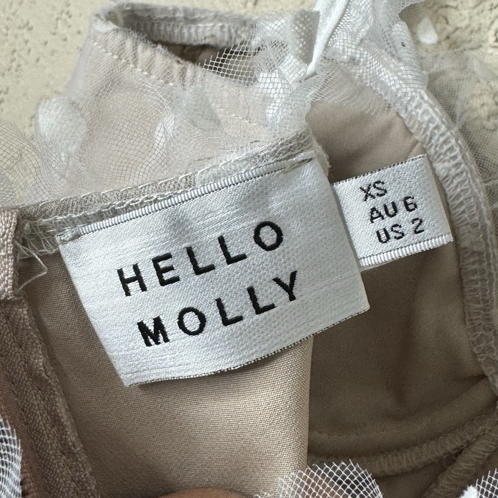 Hello Molly Corset Top Sheer Polka Dot XS Dainty Feminine Cottagecore Coquette - Picture 4 of 10